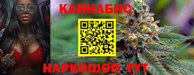 индика Тара