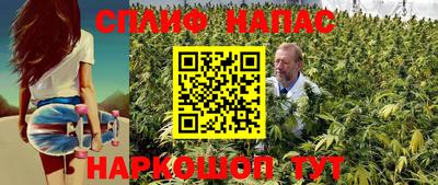 индика Тара